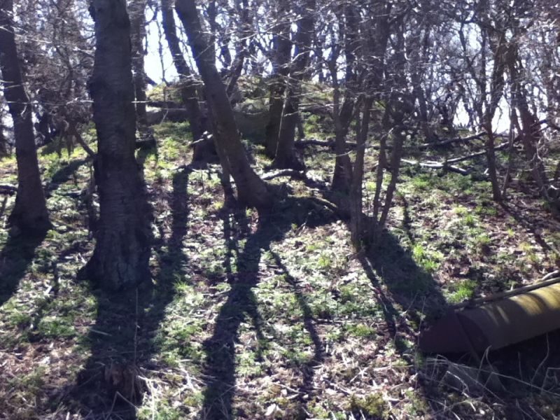 image-1